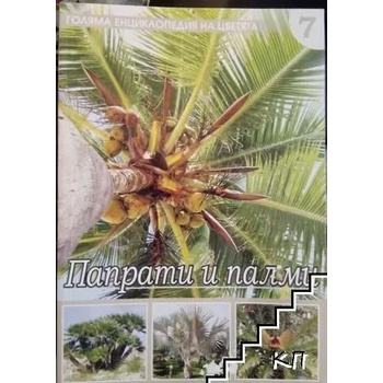 Голяма енциклопедия на цветята. Том 7: Папрати и палми