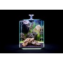 Diversa Neo Light akvarijný set 20 l