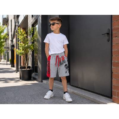 Fashionkids Chlapčenské sivé kraťasy AMSTAFF s potlačou Sivá
