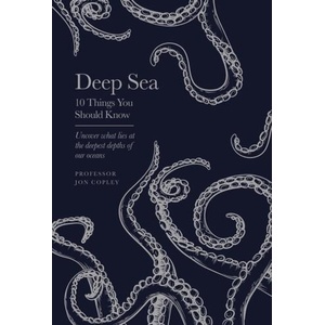 The Deep Sea (ISBN: 9781399615334)