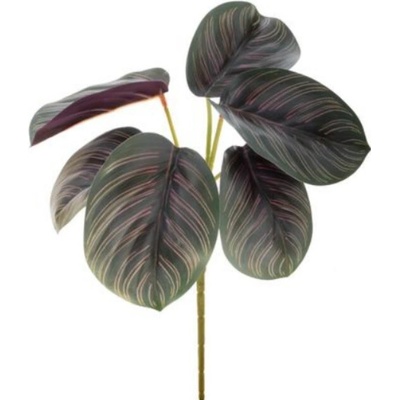 Umelá rastlina Maranta 25 cm