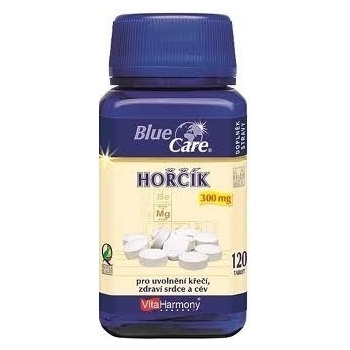 VitaHarmony Hořčík 300 mg 120 tabliet