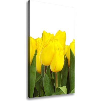 Vertikálny foto obraz na plátne Žlté tulipány 50x100 cm