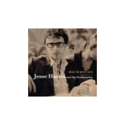 HARRIS JESSE: WHILE THE MUSIC LASTS CD