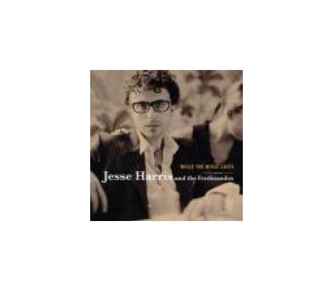 HARRIS JESSE: WHILE THE MUSIC LASTS CD