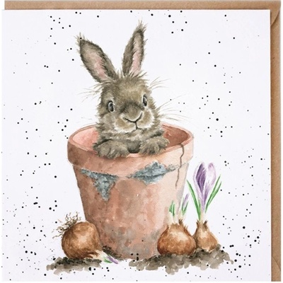 Přání Wrendale Designs "The Flower Pot", 15x15 cm - Králík v květináči