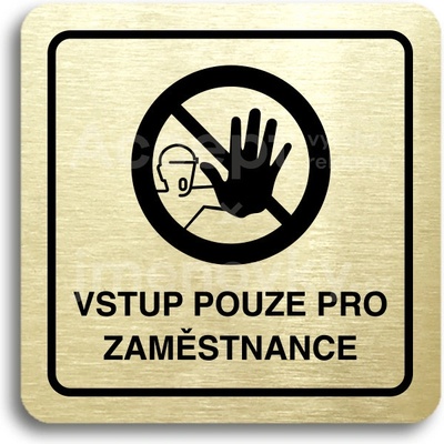 ACCEPT Piktogram vstup pouze pro zaměstnance III - zlatá tabulka - černý tisk