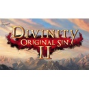 Hry na PC Divinity Original Sin 2