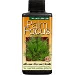 Growth Technology Palm Focus - тор за палмови растения (691040y)