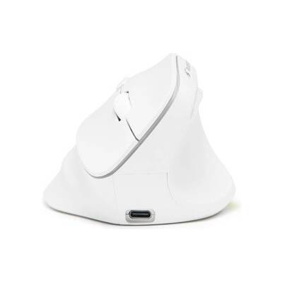 Bluestork M-WL-ERGO-LUMI-W