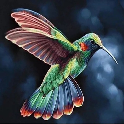Gaira Diamantové maľovanie Kolibrík D0090