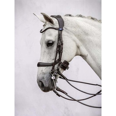 PS of Sweden Uzda Paragon hnědá