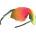 DYNAFIT Alpine Evo Sunglasses Цвят: зелен