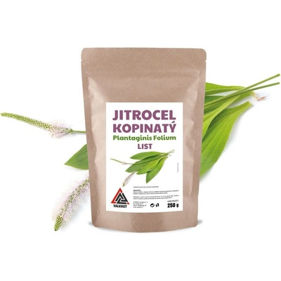 VALKNUT Jitrocel Kopinatý Plantaginis Folium list 500 g