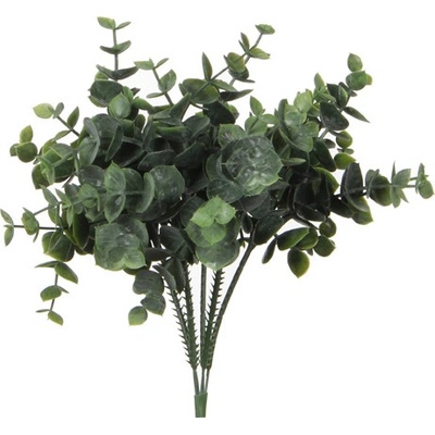 Blahovičník - Eukalyptus zelená délka 20 cm (A1021008)