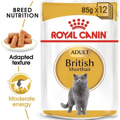 Royal Canin British Shorthair Adult pro britské krátkosrsté kočky 48 x 85 g