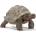 Schleich Фигурка Schleich Wild Life - Гигантска костенурка (14824-03366)