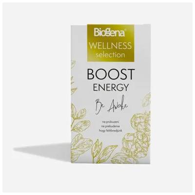 Biogena Boost energy 6 x 20 sáčků