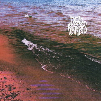 Full Circle - Dead Feathers CD