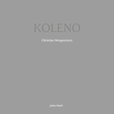 Koleno - Morgenstern Christian