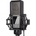 Lewitt LCT 540