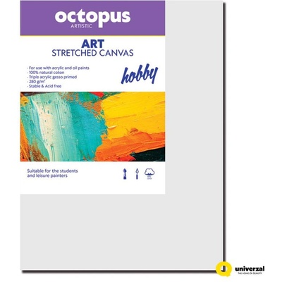 OCTOPUS Платно за рисуване Octopus, с рамка, 20x25cm (34255-А)