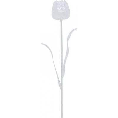 Tulipán čirý – křišťálový, 61 cm, 12 ks