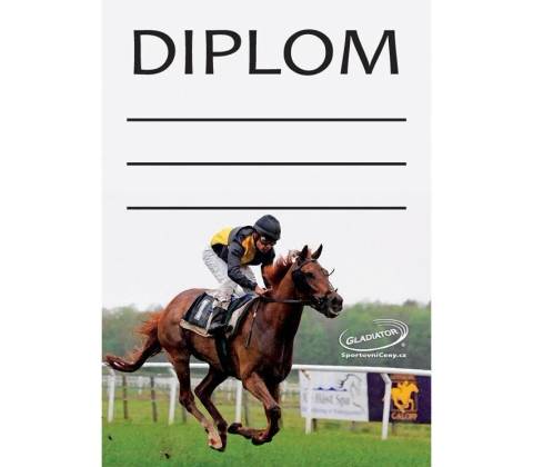 DJ02b Diplom jezdectví