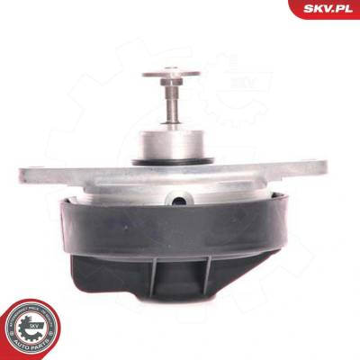 AGR-Ventil ESEN SKV 14SKV023