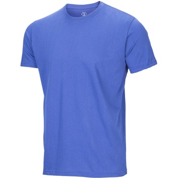 BRILLE Тениска Essense