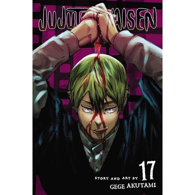 Viz Media Jujutsu Kaisen 17