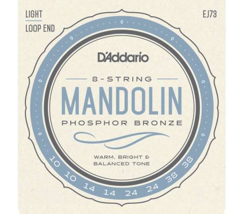 D'ADDARIO EJ73