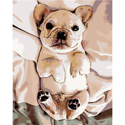 Zuty Malování podle čísel Malé štěně buldočka 80 x 100 cm bez rámu a bez vypnutí plátna