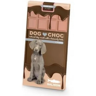 Duvoplus DogChoc - Шоколад Без Захар, с Витамини и Биотин - Сьомга 100 гр, Белгия - 12380