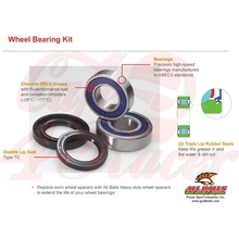 ALL BALLS Wheel bearing kit 25-1449