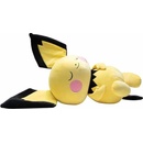 Sleeping Pichu Pokémon