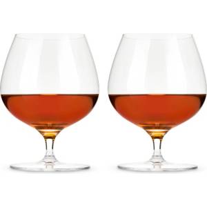 TRUEBRANDS Viski Кристални чаши за бренди и коняк raye 2 бр. - 502 мл (viski-3469)