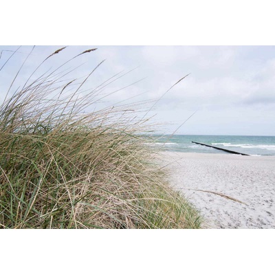 DIMEX ART Флизелинов фототапет плажен вълнолом 375 x 250 см