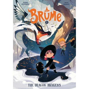 Brume (ISBN: 9781662641244)