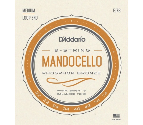 D'Addario EJ78