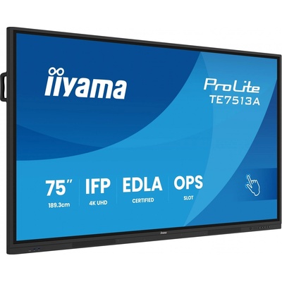 iiyama ProLite TE7513A-B3AG
