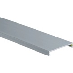 Panduit Cable manager PANDUIT - C1LG6 (C1LG6)