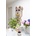 Bongusta Вълнен килим Bongusta Lucky 60 x 100 cm (BON54)