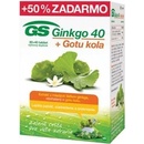 GS Ginkgo 40 + Gotu kola 80+40 tabliet