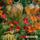 CAVS - SOJOURN LP