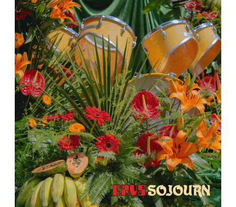 CAVS - SOJOURN LP