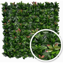 Umělý živý plot BUXUS BOBKOVIŠEŇ PREMIUM, 100x100cm, plocha 1m2