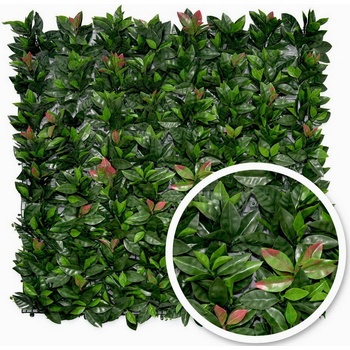 Umělý živý plot BUXUS BOBKOVIŠEŇ PREMIUM, 100x100cm, plocha 1m2