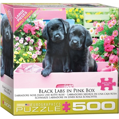 Eurographics Black Labs in Pink Box XL 500 dielov