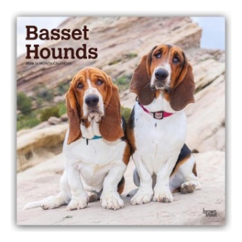 Browntrout Verlags GmbH Basset Hounds 2026 - 16-Monatskalender